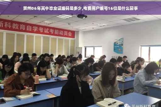 贵州06年高中毕业证编码是多少,电费用户编号16位是什么回事