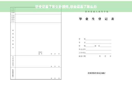毕业证丢了怎么补原件,毕业证丢了怎么办