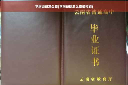 学历证明怎么查(学历证明怎么查询打印)