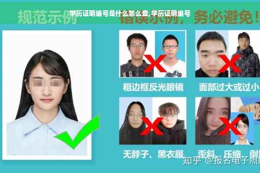 学历证明编号是什么怎么查,学历证明编号