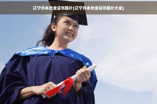 辽宁升本毕业证书图片(辽宁升本毕业证书图片大全)