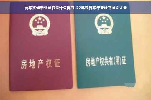高本贯通毕业证书是什么样的-22年专升本毕业证书图片大全