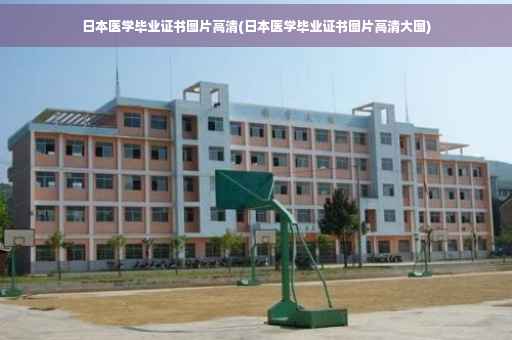 日本医学毕业证书图片高清(日本医学毕业证书图片高清大图)