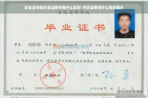 毕业证书和毕业证明书有什么区别-学历证明是什么样的图片