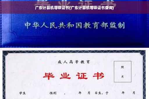 广东计算机等级证书(广东计算机等级证书查询)