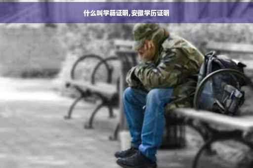什么叫学籍证明,安徽学历证明
