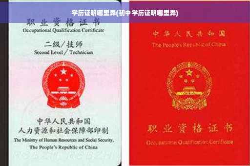 学历证明哪里弄(初中学历证明哪里弄)