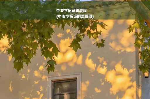 中专学历证明流程
(中专学历证明流程图)