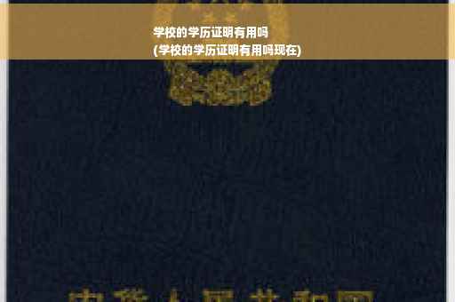 学校的学历证明有用吗
(学校的学历证明有用吗现在)
