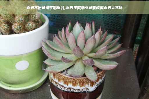 嘉兴学历证明在哪里开,嘉兴学院毕业证能改成嘉兴大学吗