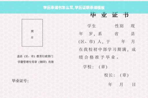 学历承诺书怎么写,学历证明承诺模板
