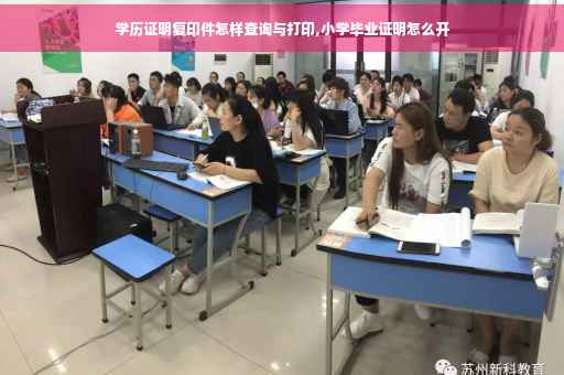 学历证明复印件怎样查询与打印,小学毕业证明怎么开