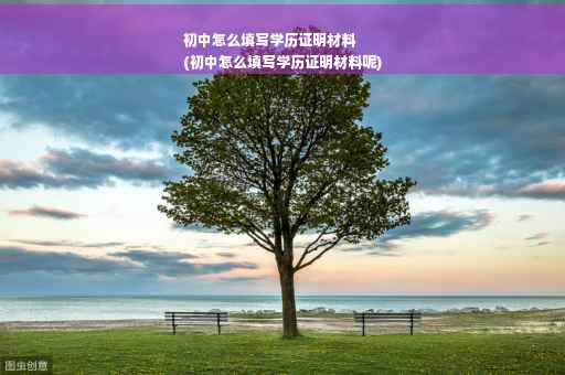 初中怎么填写学历证明材料
(初中怎么填写学历证明材料呢)