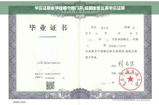 学历证明由学校哪个部门开,应届生怎么弄学历证明
