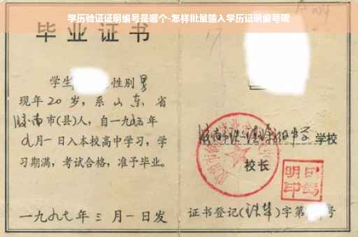 学历验证证明编号是哪个-怎样批量输入学历证明编号呢