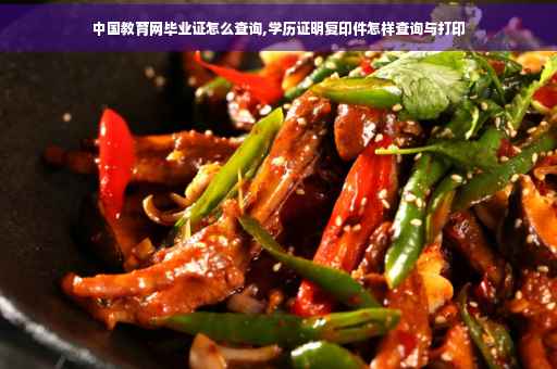 中国教育网毕业证怎么查询,学历证明复印件怎样查询与打印