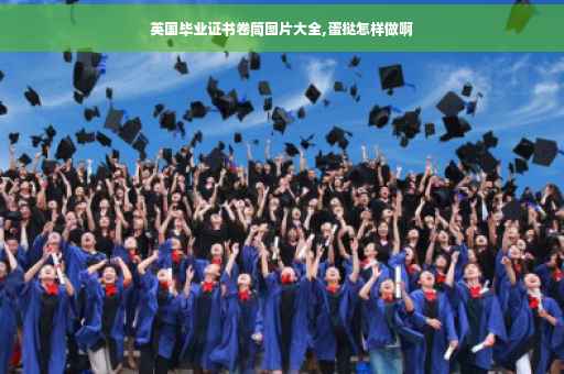 英国毕业证书卷筒图片大全,蛋挞怎样做啊 英国毕业证书卷筒图片大全,蛋挞怎样做啊