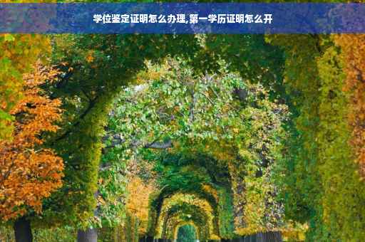 学位鉴定证明怎么办理,第一学历证明怎么开