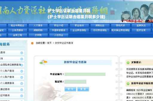 护士学历证明去哪里开啊
(护士学历证明去哪里开啊多少钱)