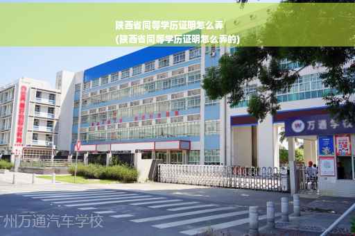 陕西省同等学历证明怎么弄
(陕西省同等学历证明怎么弄的)