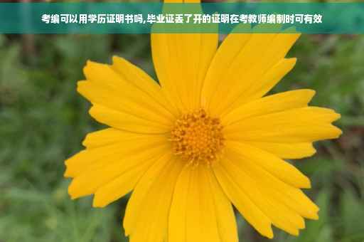 考编可以用学历证明书吗,毕业证丢了开的证明在考教师编制时可有效