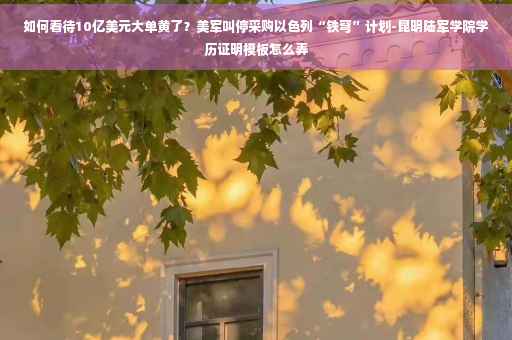如何看待10亿美元大单黄了？美军叫停采购以色列“铁穹”计划-昆明陆军学院学历证明模板怎么弄