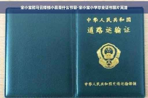 宋小宝和马云搭档小品是什么节目-宋小宝小学毕业证书图片高清