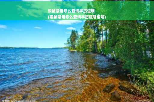 没被录用怎么查询学历证明
(没被录用怎么查询学历证明编号)
