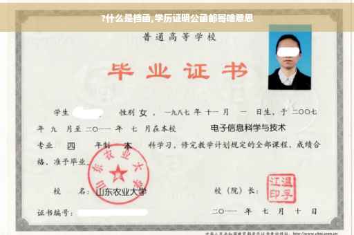 ?什么是档函,学历证明公函邮寄啥意思
