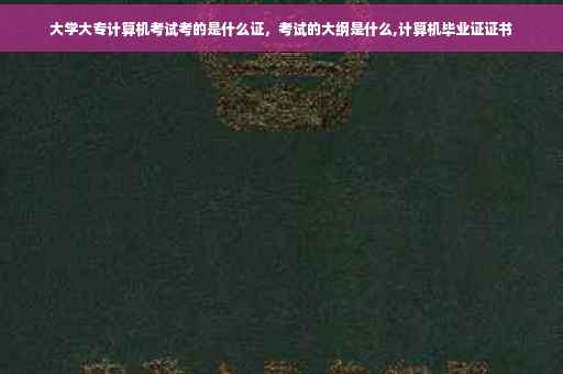 大学大专计算机考试考的是什么证，考试的大纲是什么,计算机毕业证证书