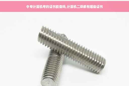 中专计算机考的证书能查吗,计算机二级都有哪些证书