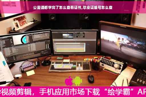 公需课都学完了怎么查看证书,毕业证编号怎么查