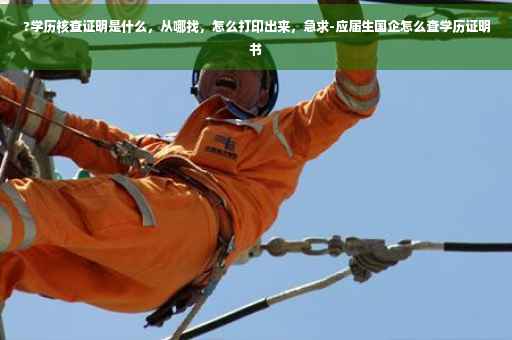 ?学历核查证明是什么，从哪找，怎么打印出来，急求-应届生国企怎么查学历证明书
