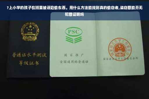 ?上小学的孩子在班里被诬陷偷东西。用什么方法能找到真的偷窃者,盗窃罪能开无犯罪证明吗