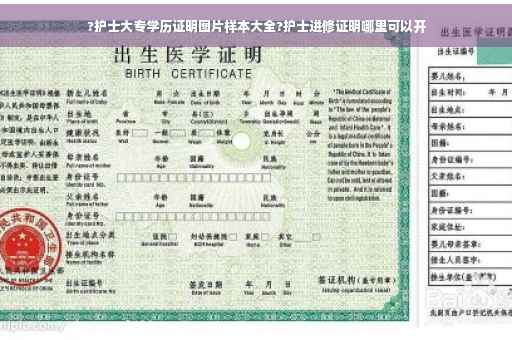?护士大专学历证明图片样本大全?护士进修证明哪里可以开
