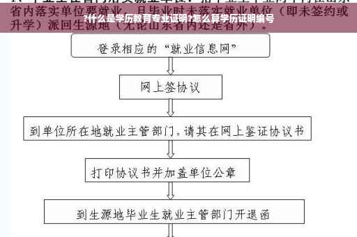 ?什么是学历教育专业证明?怎么算学历证明编号
