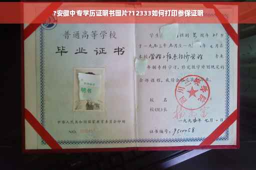 ?安徽中专学历证明书图片?12333如何打印参保证明