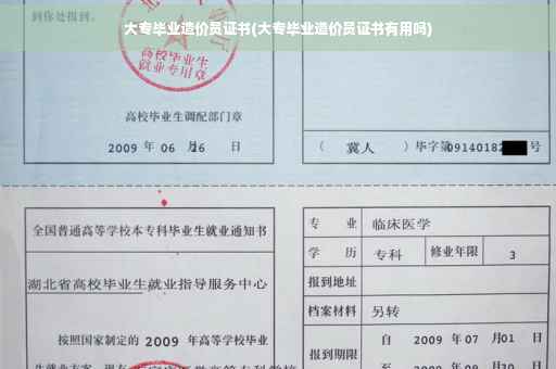 大专毕业造价员证书(大专毕业造价员证书有用吗)