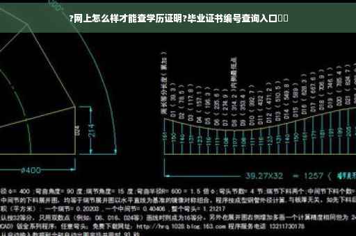 ?网上怎么样才能查学历证明?毕业证书编号查询入口⚡️