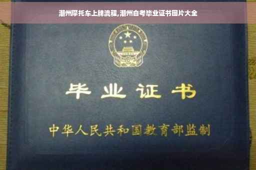 潮州摩托车上牌流程,潮州自考毕业证书图片大全