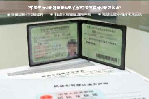?中专学历证明哪里查看电子版?中专学信网证明怎么弄?