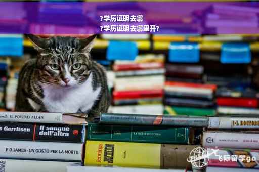 ?学历证明去哪
?学历证明去哪里开?