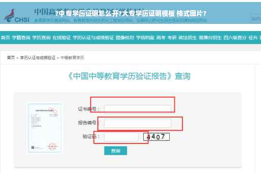 ?中专学历证明怎么开?大专学历证明模板 格式图片?
