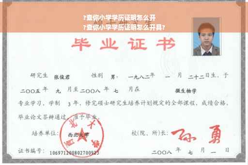 ?查你小学学历证明怎么开
?查你小学学历证明怎么开具?