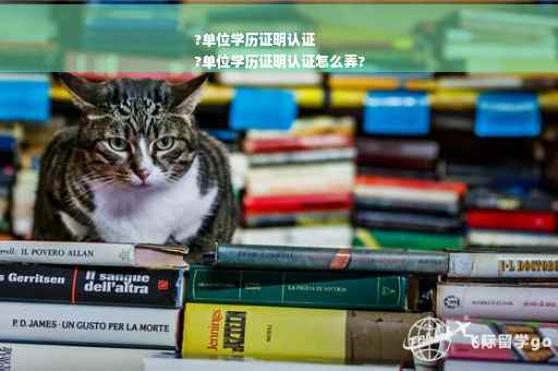 ?单位学历证明认证
?单位学历证明认证怎么弄?