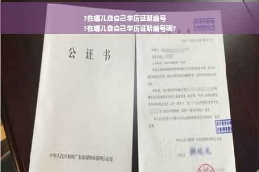 ?在哪儿查自己学历证明编号
?在哪儿查自己学历证明编号呢?