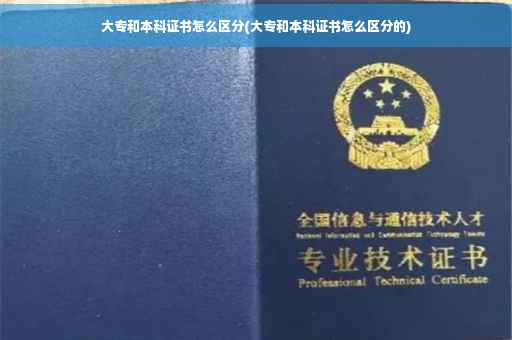 大专和本科证书怎么区分(大专和本科证书怎么区分的)