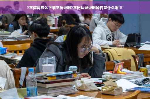 ?学信网怎么下载学历证明?学历认证证明原件是什么啊⚡️