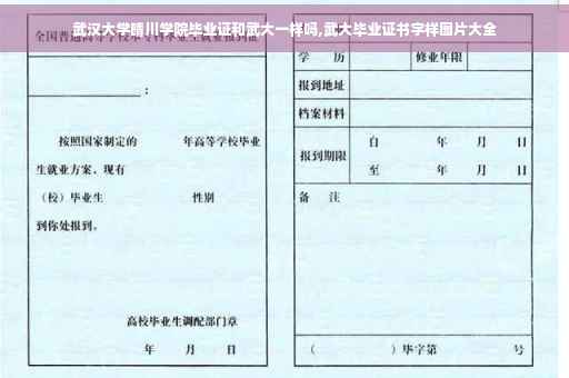 武汉大学晴川学院毕业证和武大一样吗,武大毕业证书字样图片大全