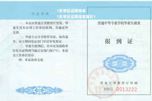 ?无学历证明样本
?无学历证明样本图片?